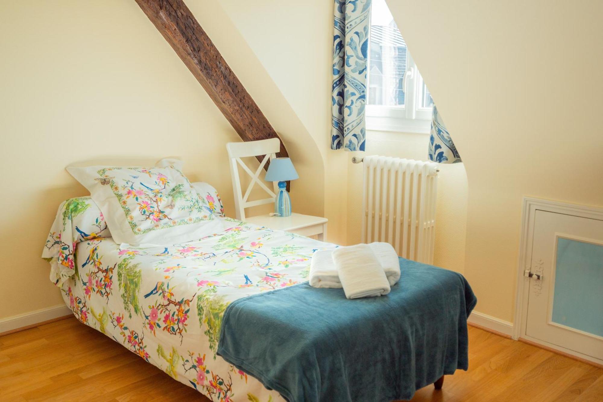 Hotel Relais Saint Jacques Amboise Esterno foto